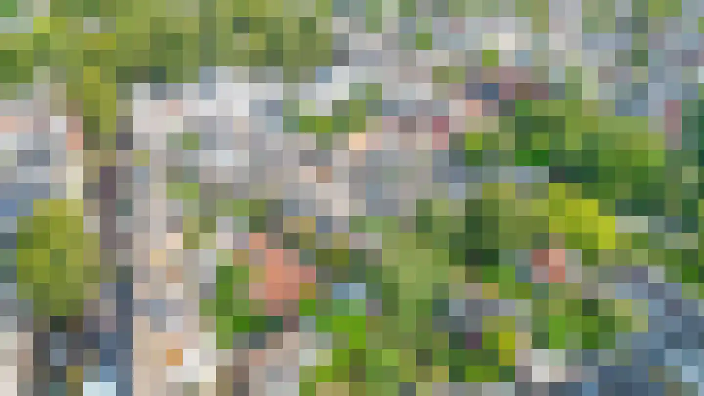 Sophiastraat 5 Groningen thumbnail 43