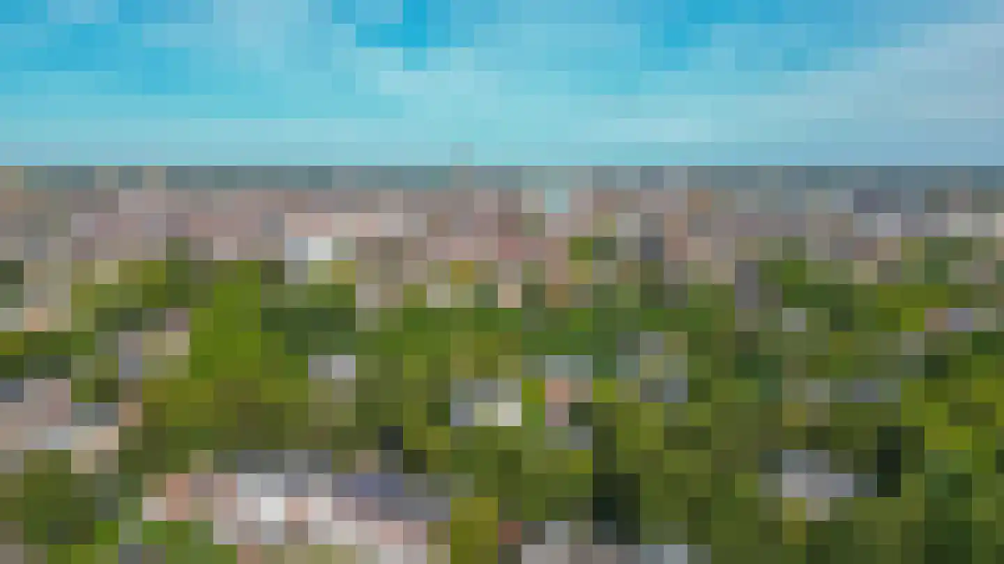 Sophiastraat 5 Groningen thumbnail 44