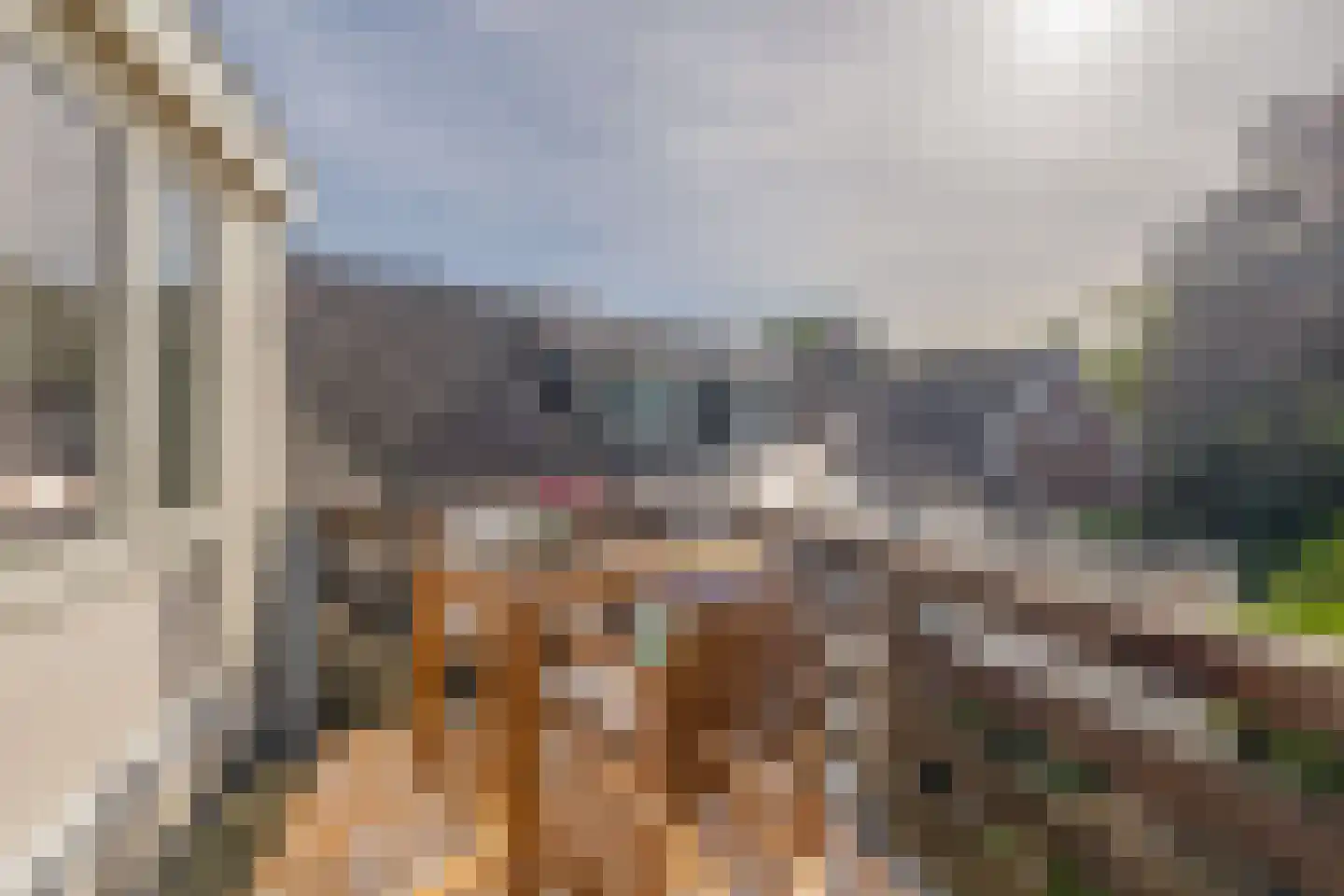 Sophiastraat 5 Groningen thumbnail 5