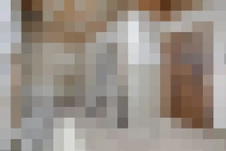 Sophiastraat 51 Velp thumbnail 19