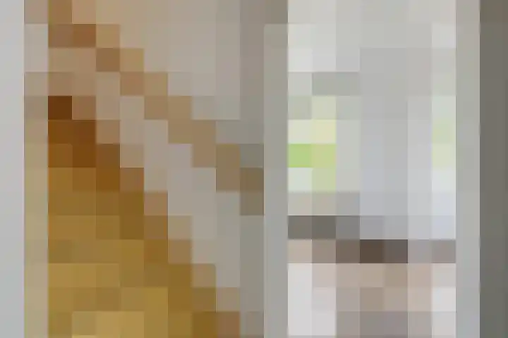 Sophiastraat 51 Velp thumbnail 20