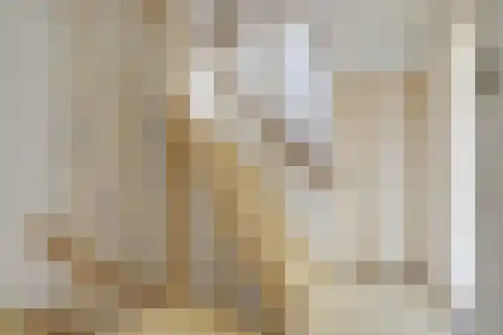 Sophiastraat 51 Velp thumbnail 21