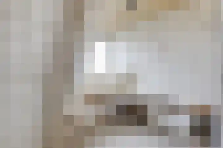 Sophiastraat 51 Velp thumbnail 26