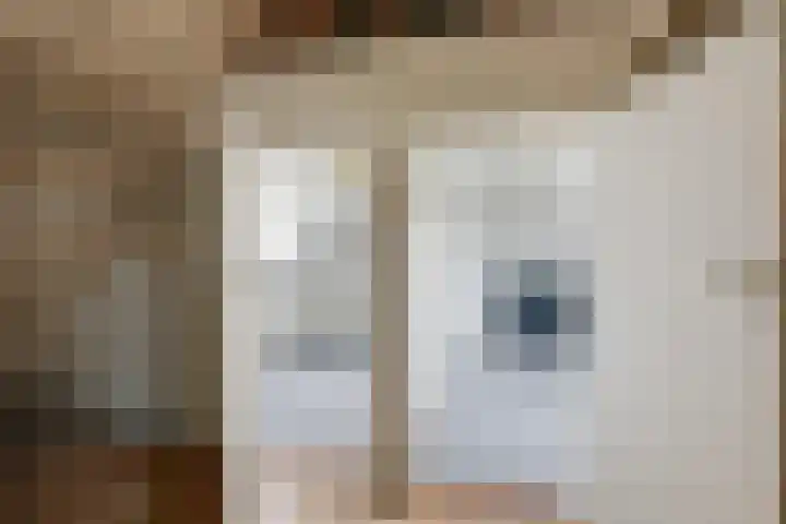 Sophiastraat 51 Velp thumbnail 29