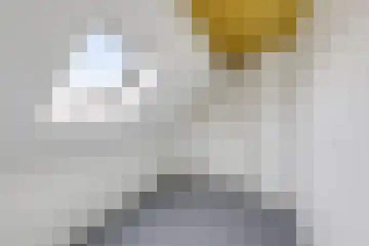 Sophiastraat 51 Velp thumbnail 31