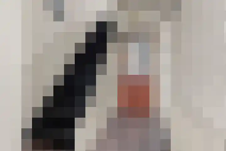 Sophiastraat 53 a Velp thumbnail 17