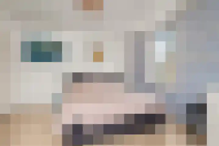 Sophiastraat 53 a Velp thumbnail 21
