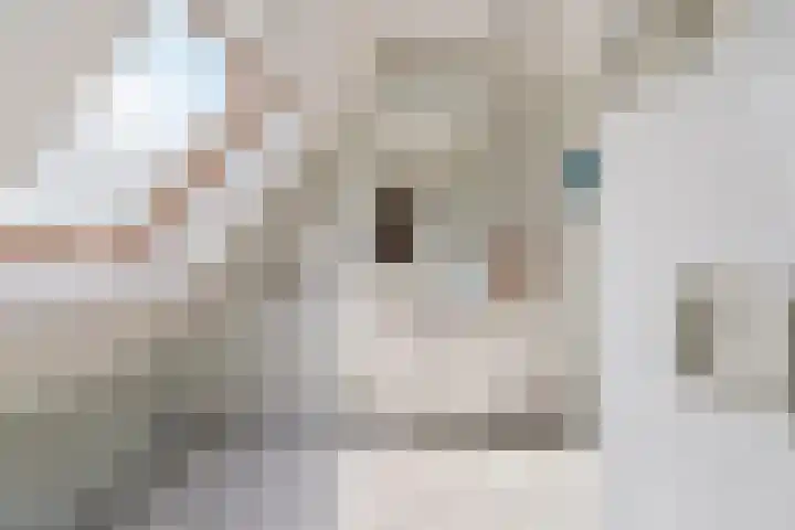 Sophiastraat 53 a Velp thumbnail 24
