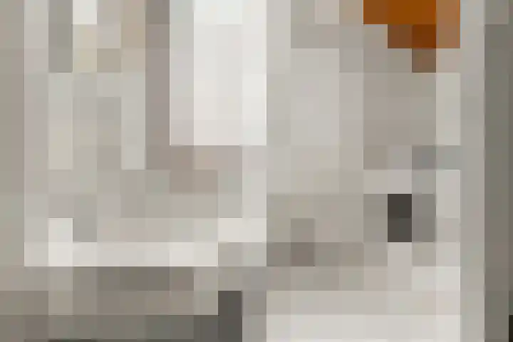 Sophiastraat 53 a Velp thumbnail 28