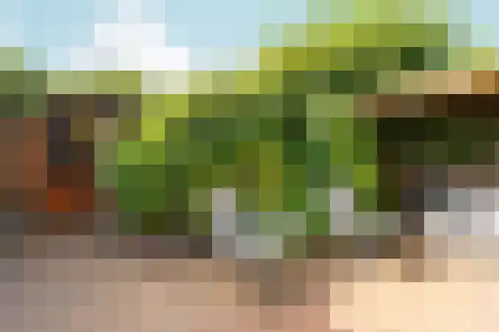 Sophiastraat 53 a Velp thumbnail 34