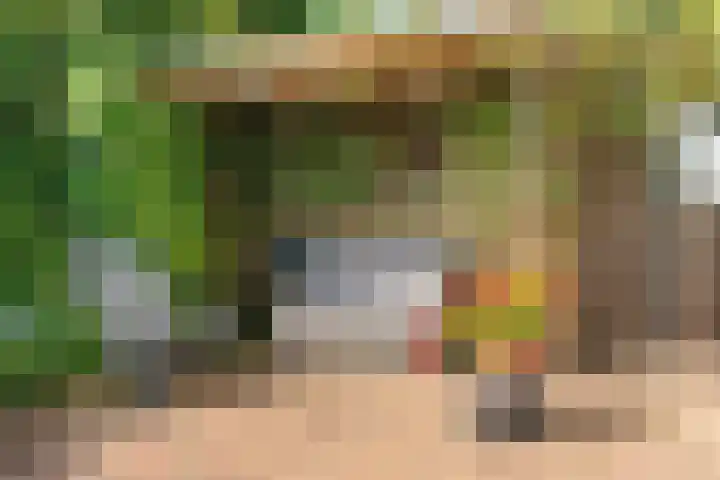 Sophiastraat 53 a Velp thumbnail 35