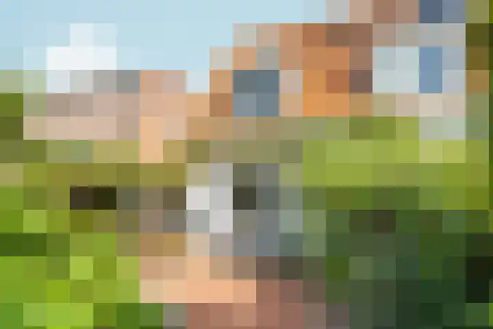 Sophiastraat 53 a Velp thumbnail 36