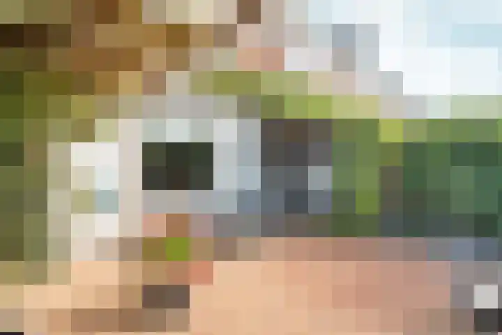 Sophiastraat 53 a Velp thumbnail 38