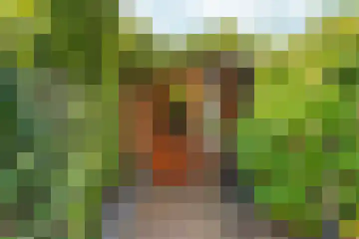 Sophiastraat 53 a Velp thumbnail 39