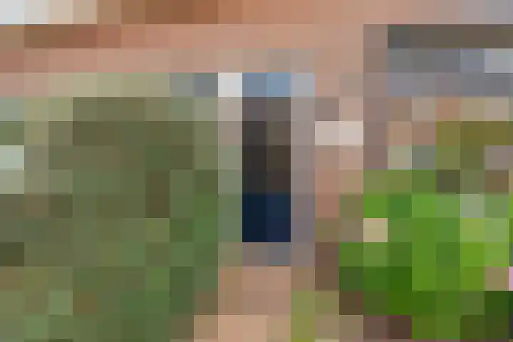 Sophiastraat 53 a Velp thumbnail 4