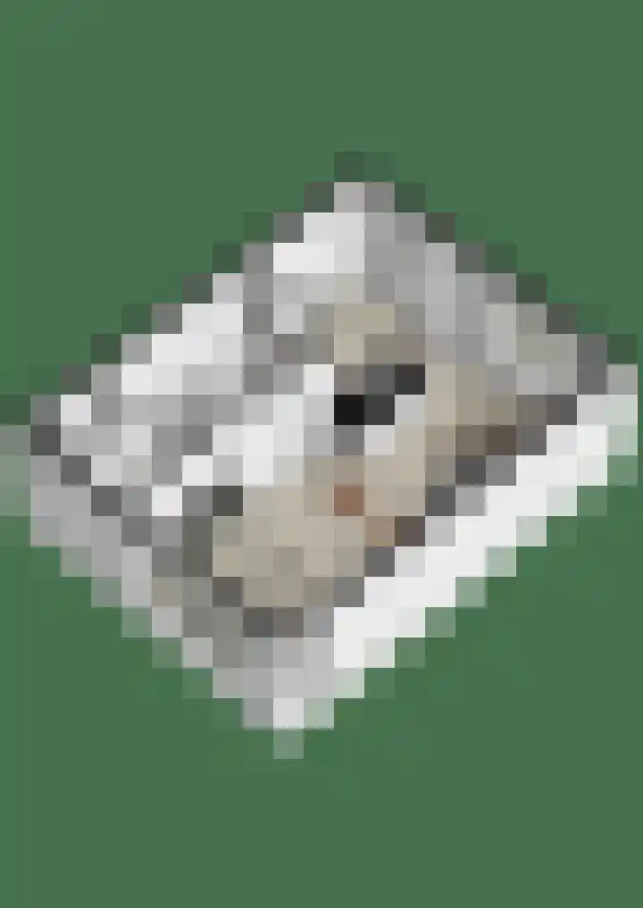 Sophiastraat 53 a Velp thumbnail 44
