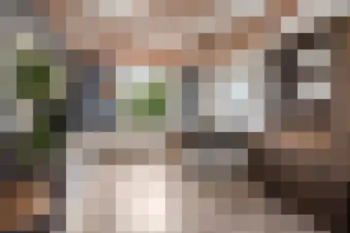 Sophiastraat 53 a Velp thumbnail 9