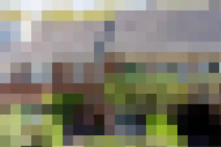 Sophiastraat 54 in Gouda