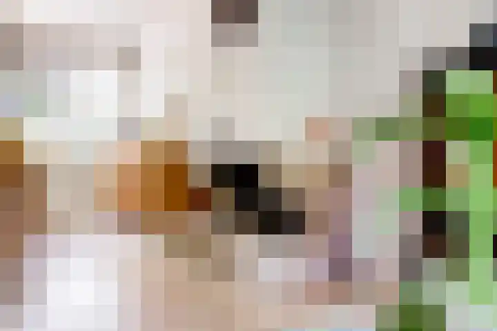 Sophiastraat 54 Gouda thumbnail 10