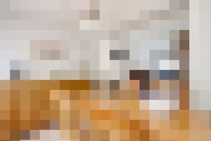 Sophiastraat 54 Gouda thumbnail 11