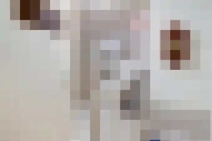 Sophiastraat 54 Gouda thumbnail 15