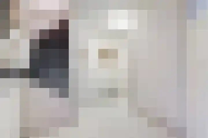 Sophiastraat 54 Gouda thumbnail 17