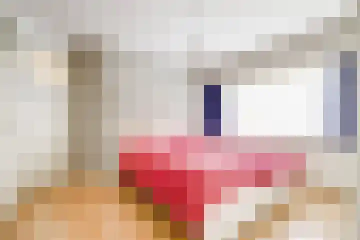 Sophiastraat 54 Gouda thumbnail 19