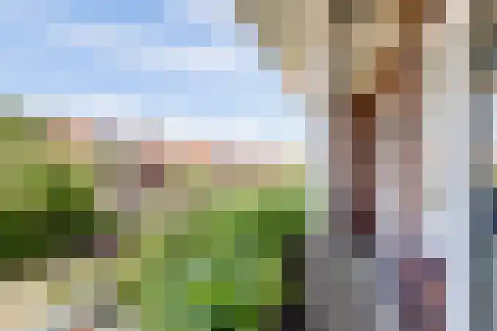 Sophiastraat 54 Gouda thumbnail 24