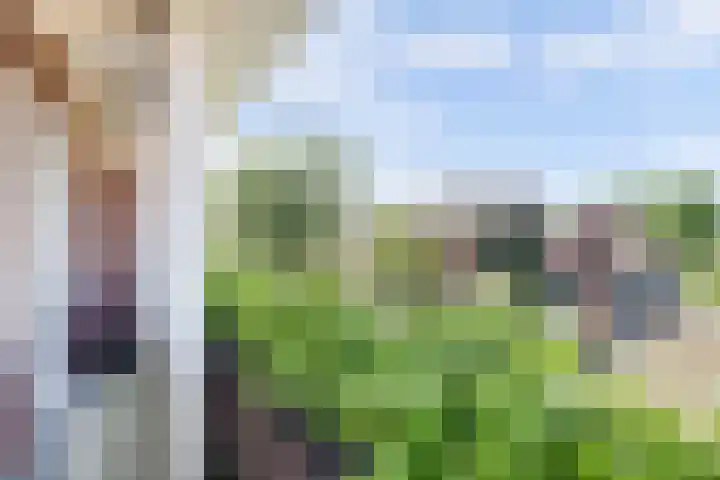 Sophiastraat 54 Gouda thumbnail 25