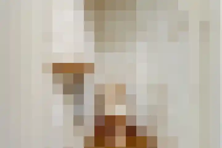 Sophiastraat 54 Gouda thumbnail 27