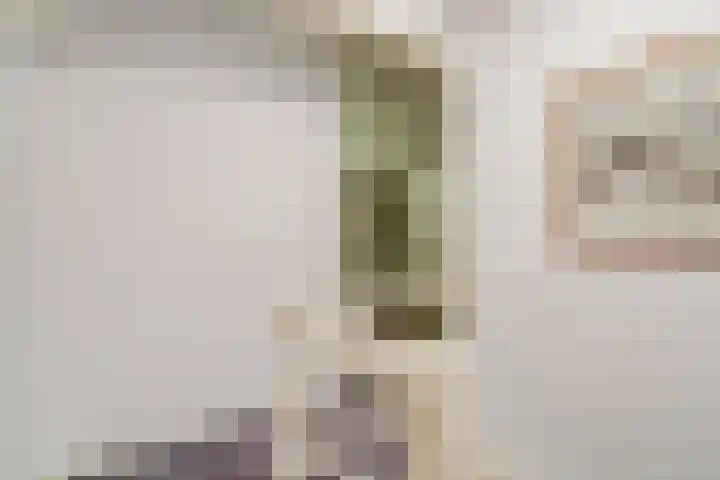 Sophiastraat 54 Gouda thumbnail 30