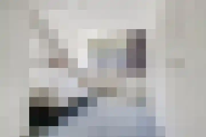 Sophiastraat 54 Gouda thumbnail 35