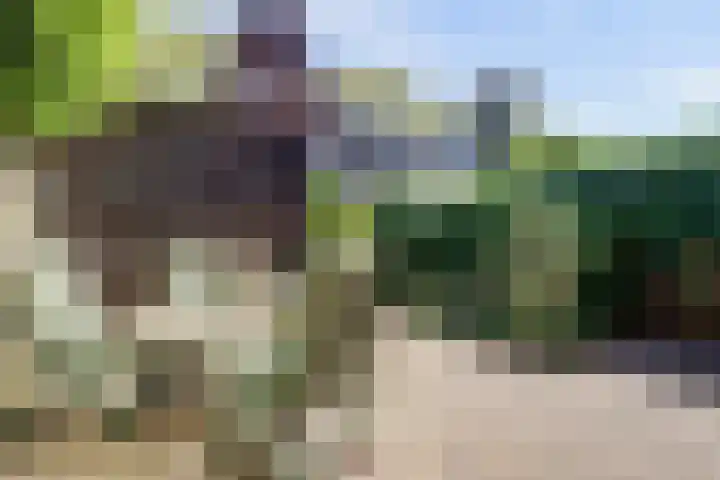 Sophiastraat 54 Gouda thumbnail 39