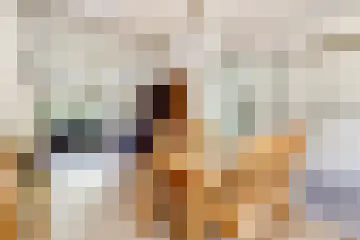 Sophiastraat 54 Gouda thumbnail 4