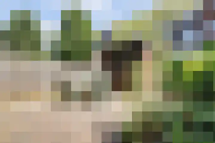 Sophiastraat 54 Gouda thumbnail 40