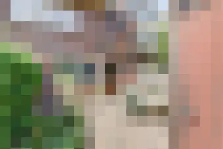 Sophiastraat 54 Gouda thumbnail 41