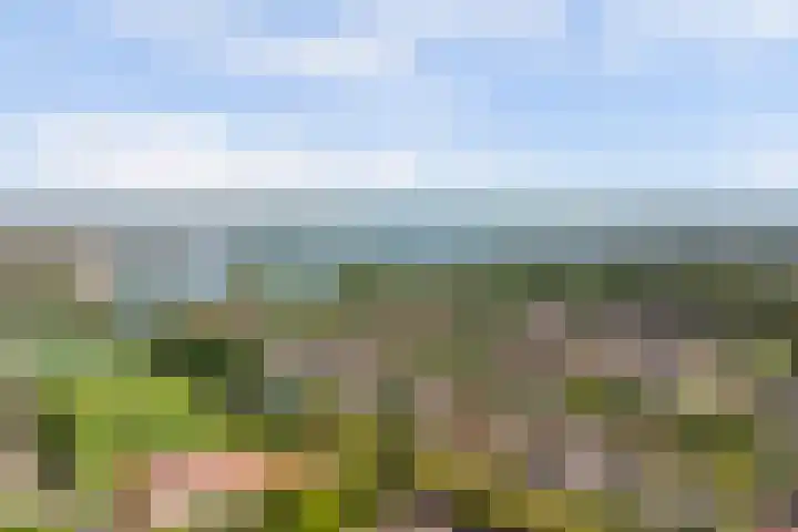Sophiastraat 54 Gouda thumbnail 42
