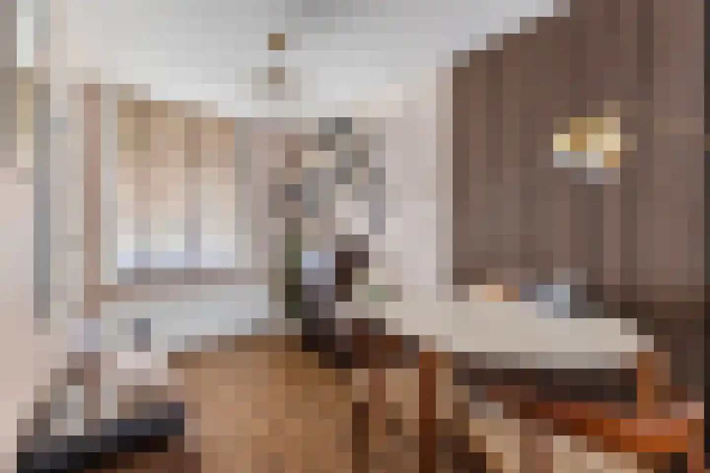 Sophiastraat 57 Haarlem thumbnail 11