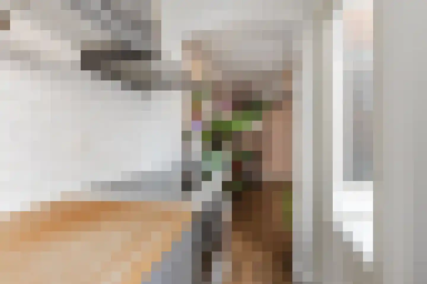 Sophiastraat 57 Haarlem thumbnail 17