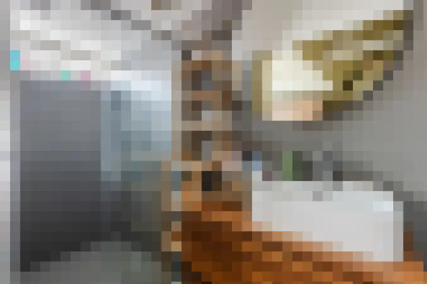 Sophiastraat 57 Haarlem thumbnail 21