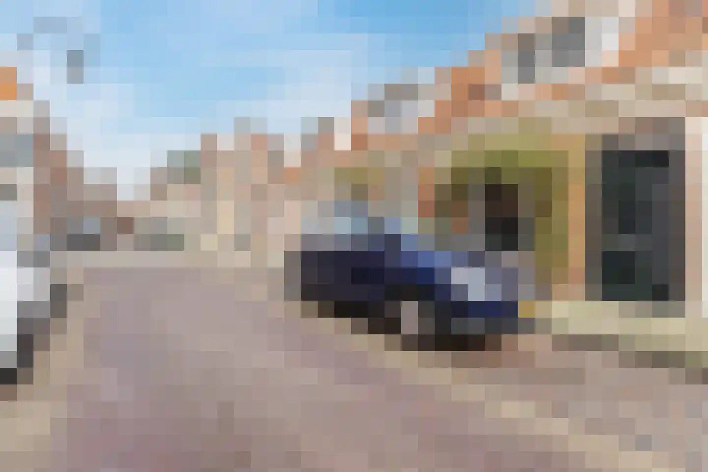 Sophiastraat 57 Haarlem thumbnail 33