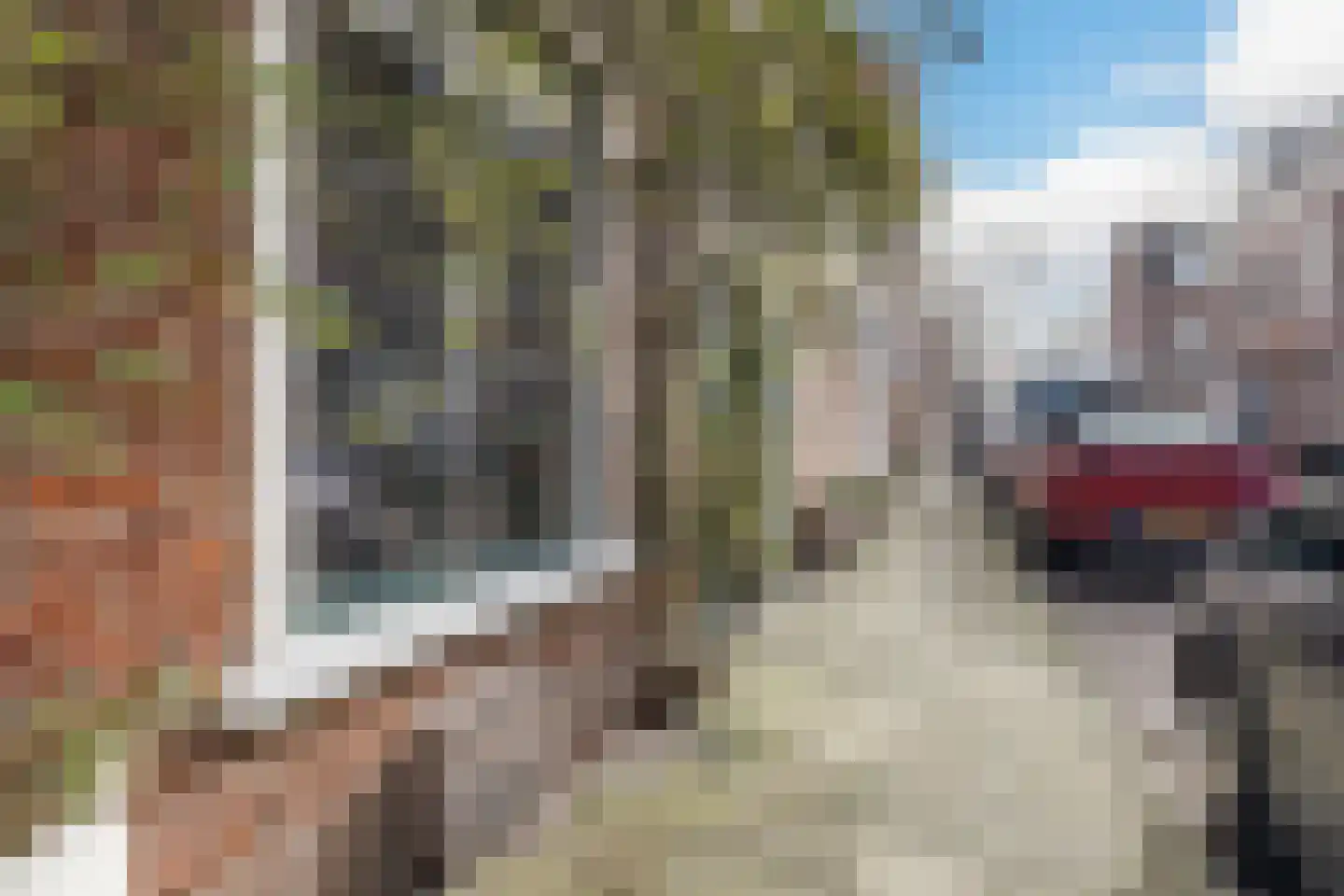 Sophiastraat 57 Haarlem thumbnail 5