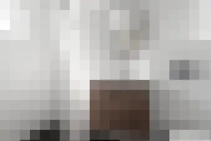 Sophiastraat 57 Velp thumbnail 29