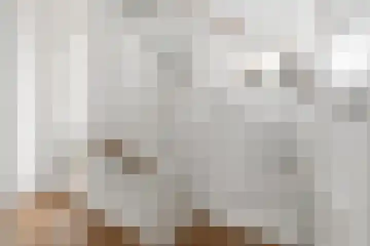 Sophiastraat 57 Velp thumbnail 32