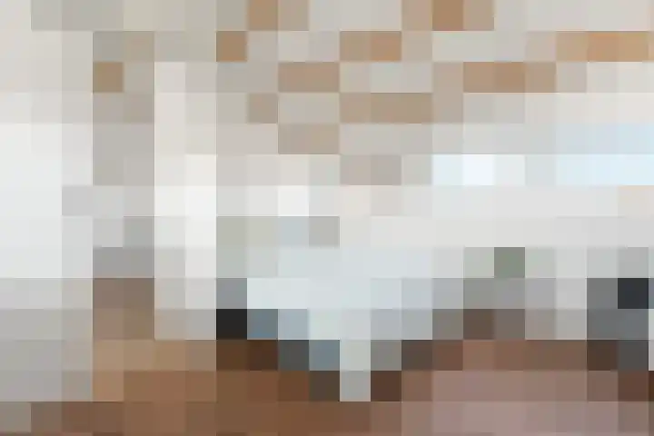 Sophiastraat 57 Velp thumbnail 34