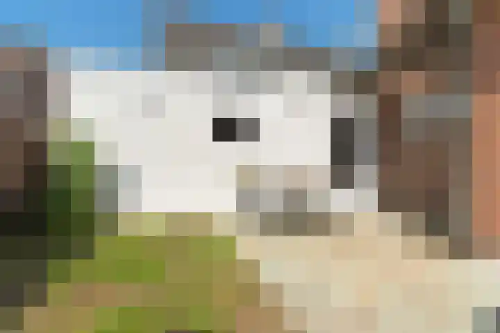 Sophiastraat 57 Velp thumbnail 41
