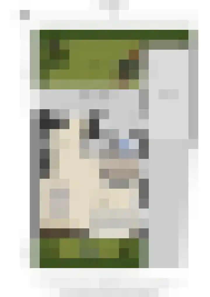 Sophiastraat 57 Velp thumbnail 42