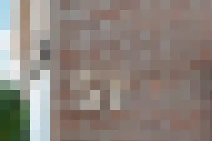 Sophiastraat 57 Velp thumbnail 9