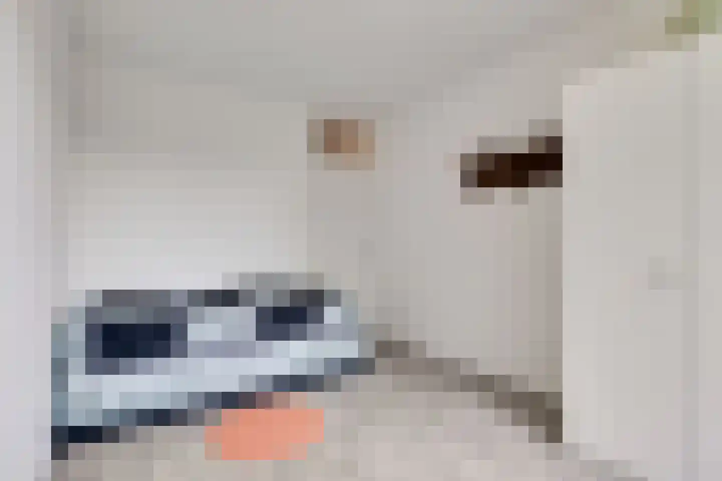 Sophiastraat 58 Velp thumbnail 20