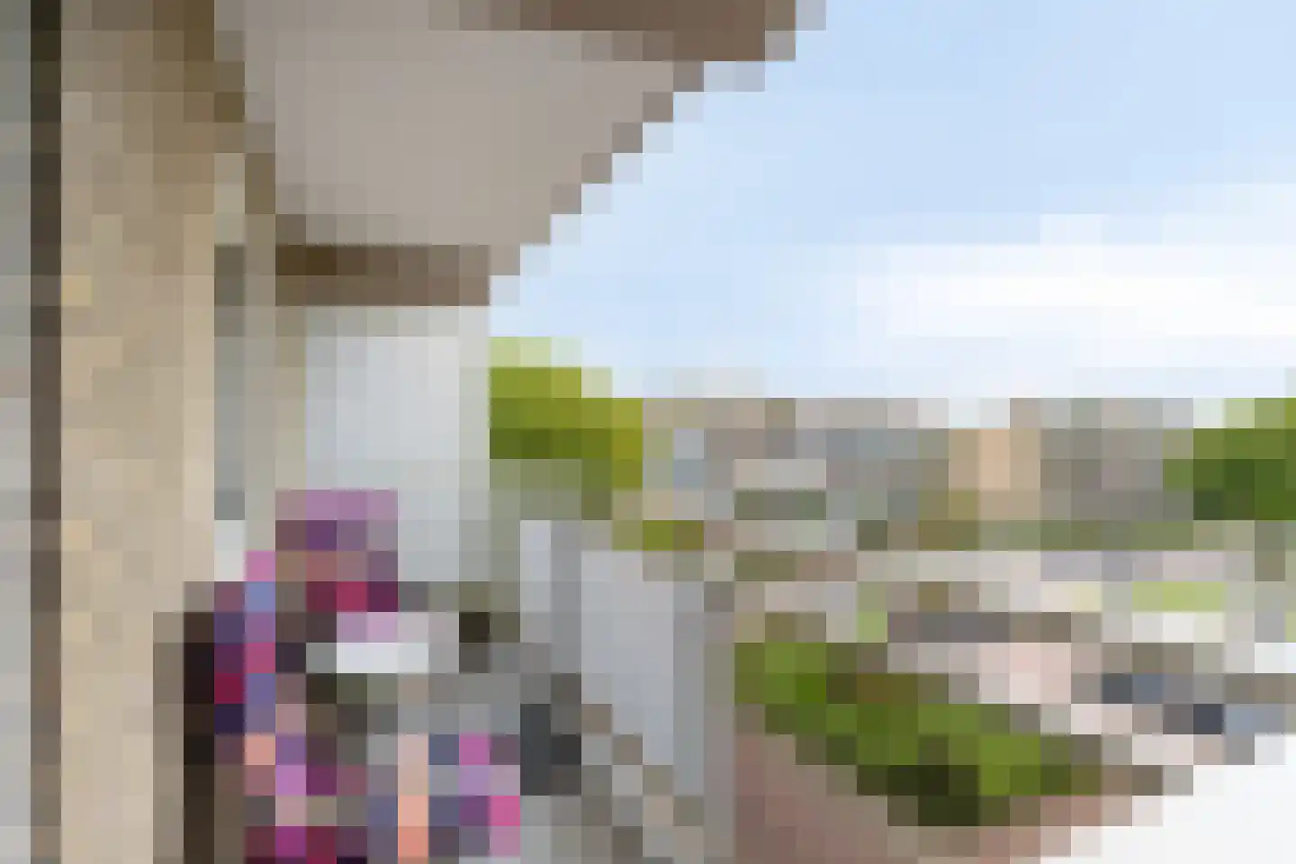 Sophiastraat 58 Velp thumbnail 9